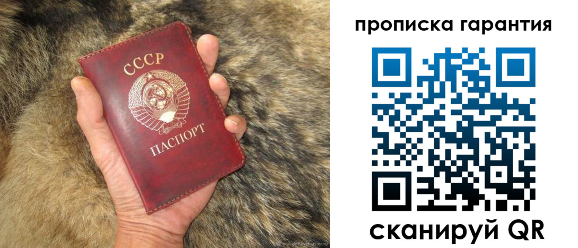 временная регистрация гарантия в Юже
